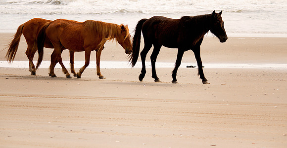OBX 2015 15